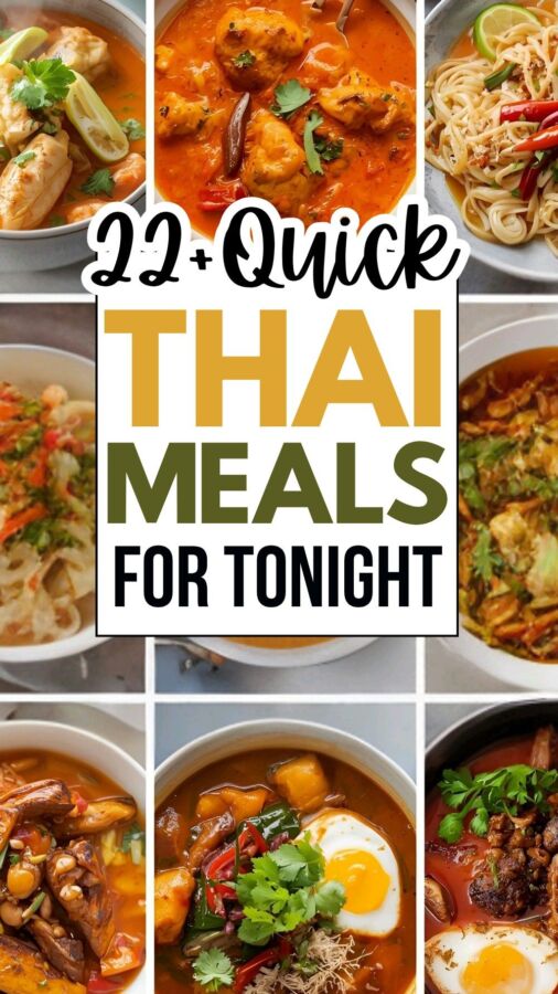 quel plat thaï choisir