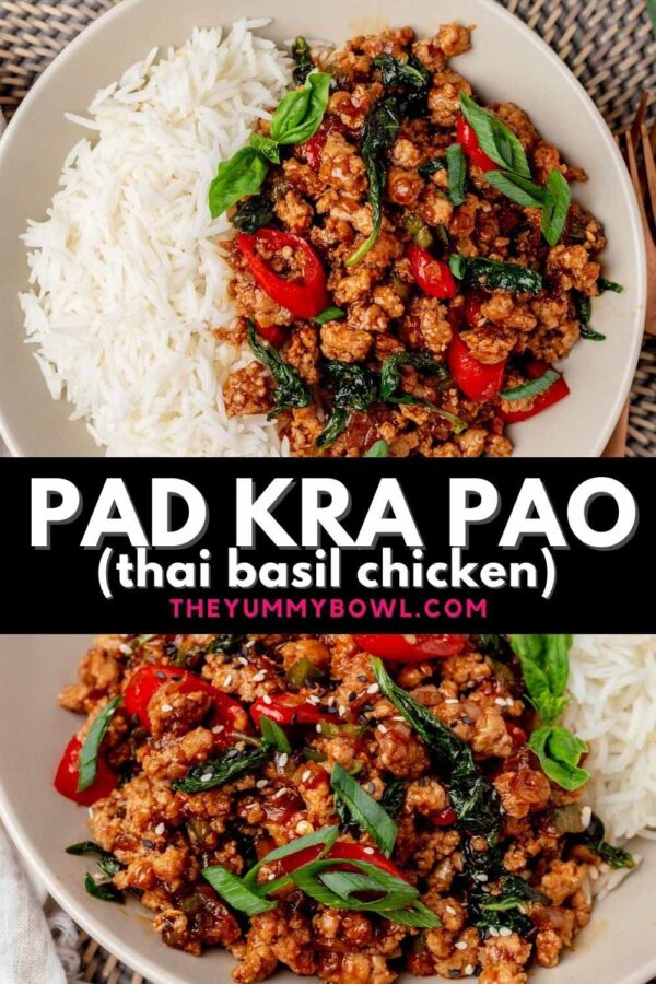 quel plat thaï choisir